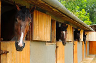 free Thornehillhead stable construction quotes